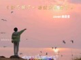 杨友友《野花做了场玫瑰花的梦》[无损flac]网盘下载