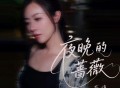 花僮《夜晚的蔷薇》[FLAC/MP3-320K]网盘下载