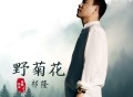 祁隆《野菊花》[FLAC/MP3-320K]网盘下载