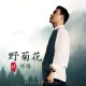 祁隆《野菊花》[FLAC/MP3-320K]网盘下载