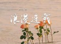 卢润泽《浪漫连载》[FLAC/MP3-320K]网盘下载