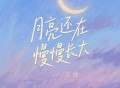 花僮《月亮还在慢慢长大》[FLAC/MP3-320K]网盘下载