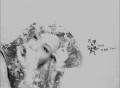 蔡健雅2014年专辑《天使与魔鬼的对话》[无损flac]网盘下载