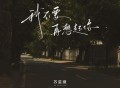苏星婕《我不要再想起你》[FLAC/MP3-320K]网盘下载