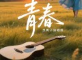 黑鸭子演唱组《青春》[FLAC/MP3-320K]网盘下载