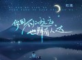 旺姆《你到不了的远方也鲜有人达》[FLAC/MP3-320K]网盘下载