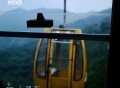 旅行团乐队、新裤子乐队《空山灵雨》[FLAC/MP3-320K]网盘下载