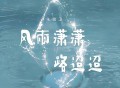 朱俊卫《风雨潇潇路迢迢》[FLAC/MP3-320K]网盘下载