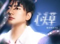 海来阿木《心头草》[FLAC/MP3-320K]网盘下载