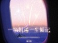 杨不乖《一场相遇一生惦记》[FLAC/MP3-320K]网盘下载