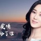 王强&龙梅子《你把爱情给了谁》[无损flac]网盘下载