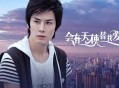 安琥《会有天使替我去爱你》[无损flac]网盘下载