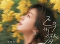 夏城南《飞鸟衔微风》[FLAC/MP3-320K]网盘下载