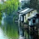 柴愷能&杨冰心《红尘烟雨中》[无损flac]网盘下载