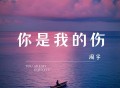 周宇《你是我的伤》[FLAC/MP3-320K]网盘下载