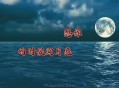 崔伟立《想你的时候问月亮》[无损flac]网盘下载
