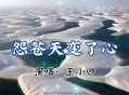王小帅《怨苍天变了心》( 正式版)[无损flac]网盘下载