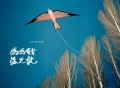 王睿卓《妈妈有首燕儿歌》[FLAC/MP3-320K]网盘下载