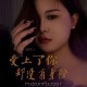 大美《爱上了你却没有身份》[FLAC/MP3-320K]网盘下载