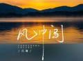 花僮《风中闯》[FLAC/MP3-320K]网盘下载