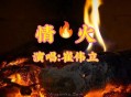 崔伟立《情火》[无损flac]网盘下载