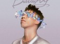 龙道一Dragon One《蝴蝶 (DJ remix)》[FLAC/MP3-320K]网盘下载