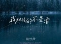 张妙格《我期待的不是雪》[无损flac]网盘下载