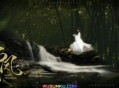 李佳薇《碧苍》[无损flac]网盘下载