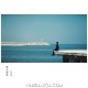 沙宝亮《好大的风》[FLAC/MP3-320K]网盘下载