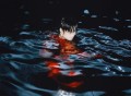 李宇春《冬泳》[FLAC/MP3-320K]网盘下载