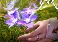 潘修宇《见我》[FLAC/MP3-320K]网盘下载