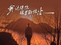 魏佳艺《我记得你眼里的依恋》[FLAC/MP3-320K]网盘下载