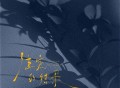 夏婉安《注定的结果》[FLAC/MP3-320K]网盘下载
