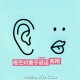 陈翔《哑巴对聋子说话》[FLAC/MP3-320K]网盘下载