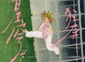 王源专辑《在星穹下狂奔》[FLAC/MP3-320K]网盘下载
