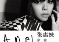 张惠妹2011年专辑《你在看我吗》[无损flac]网盘下载