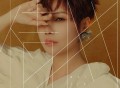 魏佳艺《情网》[FLAC/MP3-320K]网盘下载