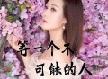 李英《等一个不可能的人》[FLAC/MP3-320K]网盘下载