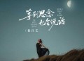 魏佳艺《等到思念也会说话》[FLAC/MP3-320K]网盘下载