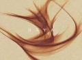 HAYA乐团《抚摸你》[FLAC/MP3-320K]网盘下载音乐屋,歌曲搜索,音乐免费下载,MP3下载,收费音乐免费下载,付费音乐免费下载,在线mp3下载网站,歌曲音乐免费下载工具www.yinyue5.com工具狗 - 在线工具箱网站效率提升神器 www.toolg.cn