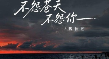 魏佳艺《不怨苍天不怨你》[FLAC/MP3-320K]网盘下载