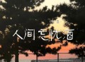 田园《人间忘忧酒》[FLAC/MP3-320K]网盘下载