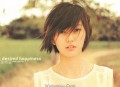 孙燕姿《开始懂了》[无损flac]网盘下载