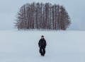 菲道尔《合照》[FLAC/MP3-320K]网盘下载