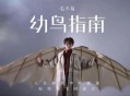 毛不易专辑《幼鸟指南》[无损flac]网盘下载
