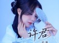 花僮《许君》[FLAC/MP3-320K]网盘下载