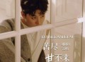 刘阳阳《苦尽甘不来》[FLAC/MP3-320K]网盘下载
